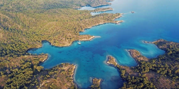 A rookie officer ran toward semi-automatic gunfire. It was his job